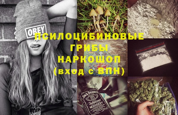 дживик Белокуриха