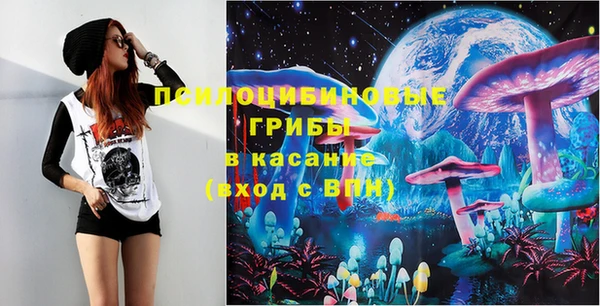дживик Белокуриха