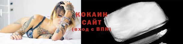 дживик Белокуриха
