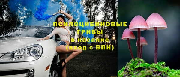 дживик Белокуриха