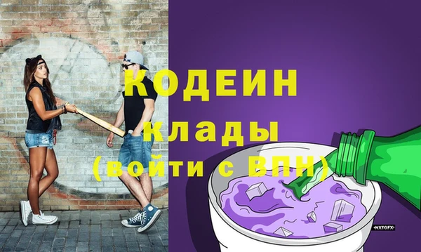 дживик Белокуриха