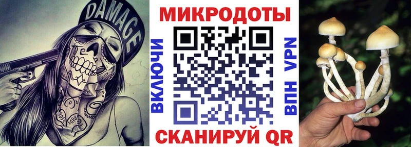 Псилоцибиновые грибы Cubensis  дарнет шоп  Воскресенск 